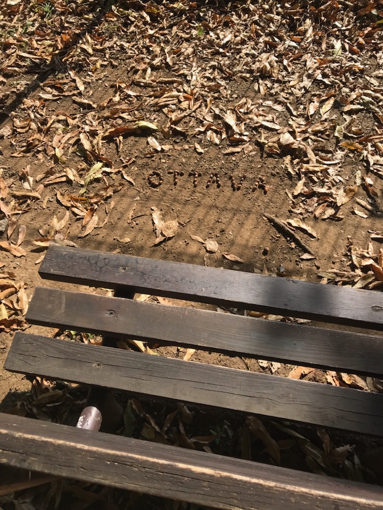 画像に alt 属性が指定されていません。ファイル名: どんぐりOTTAVAパン子小.jpg