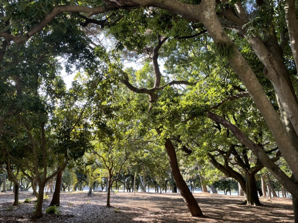 画像に alt 属性が指定されていません。ファイル名: 福岡３-1024x766.jpeg