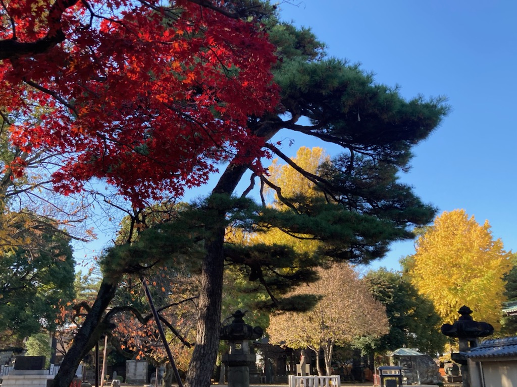 画像に alt 属性が指定されていません。ファイル名: 練馬長命寺３.jpg