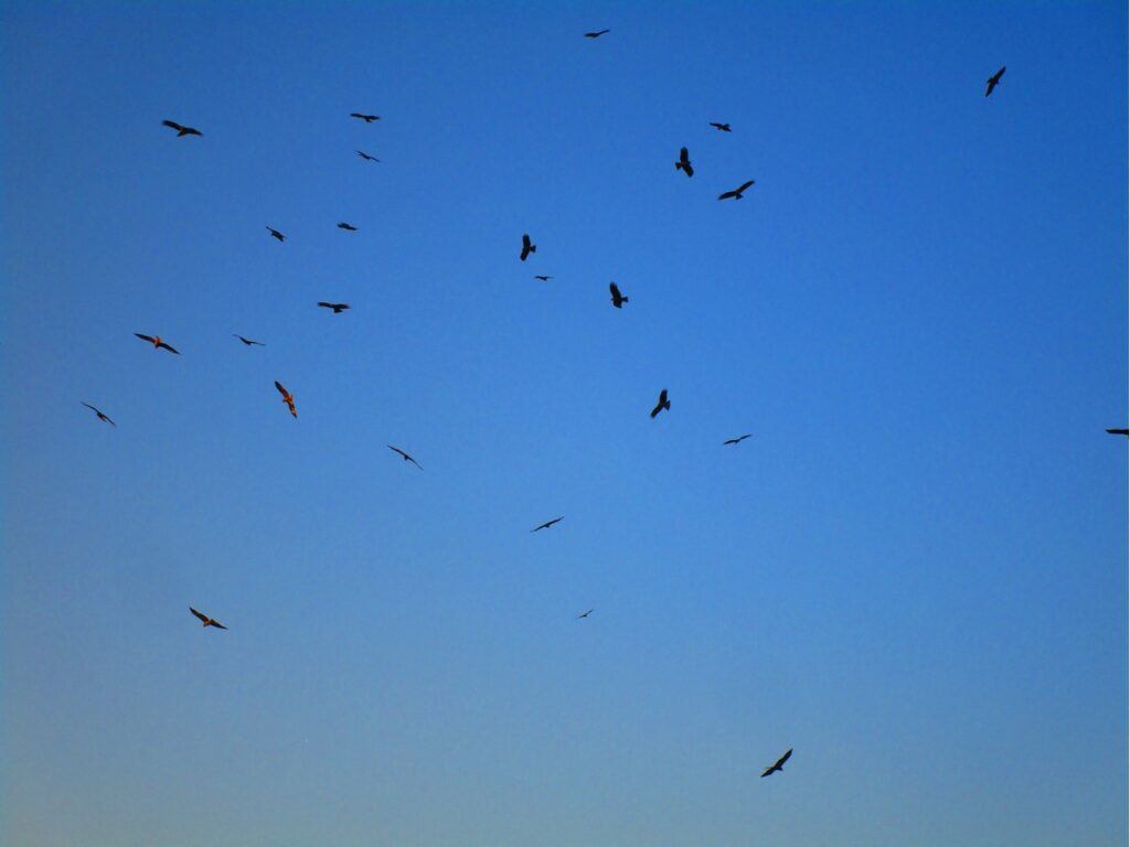 画像に alt 属性が指定されていません。ファイル名: 鳥羽市の石鏡（いじか）３-1024x768.jpg